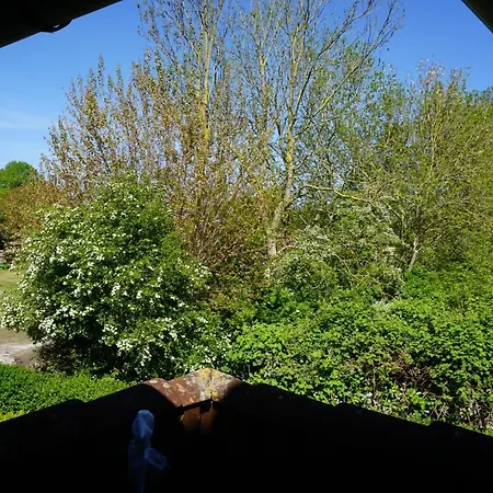 Apartmán „kiekut“ *